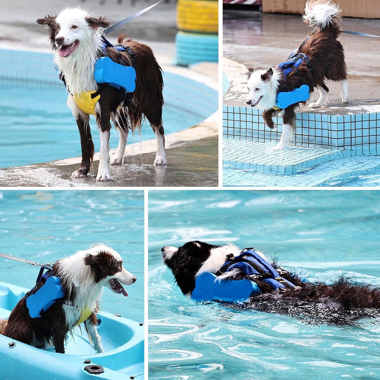 Dog Bone-Shaped Floatation Life Jacket – High-Buoyancy Swim Vest for Medium & Large Dogs | Adjustable Fit + Rescue Handle