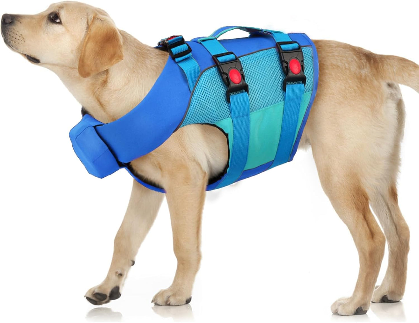 Large Dog Life Jacket – Blue-Green Buoyancy Vest with Dual Handles & Neck Float Support | Heavy-Duty Safety for Swimming & Rehabilitation