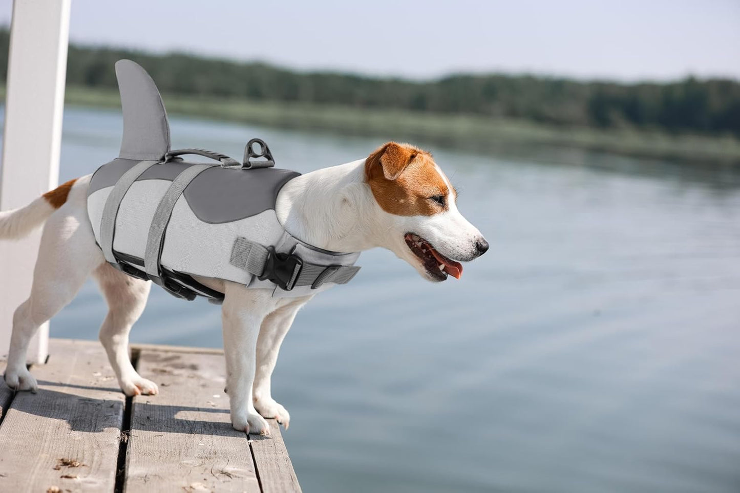Shark Fin Dog Life Jacket – Grey Buoyancy Vest for Medium & Large Dogs | Adjustable Safety Floatation with Top Handle