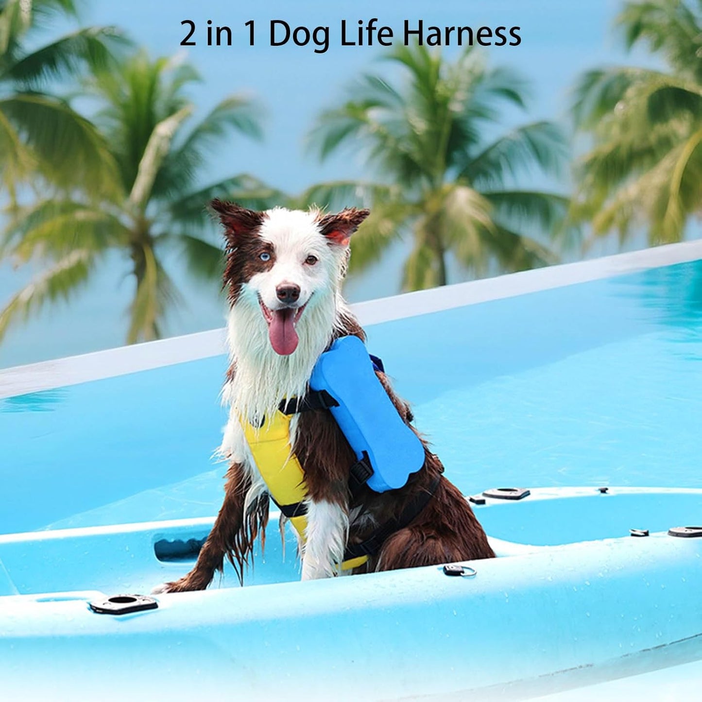 Dog Bone-Shaped Floatation Life Jacket – High-Buoyancy Swim Vest for Medium & Large Dogs | Adjustable Fit + Rescue Handle