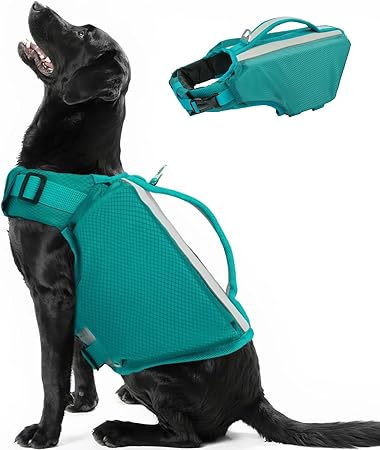 Lake Green Dog Life Jacket   | High-Buoyancy Safety Vest for Medium & Large Dogs | Rescue Handle + Reflective Trim + Quick Buckles