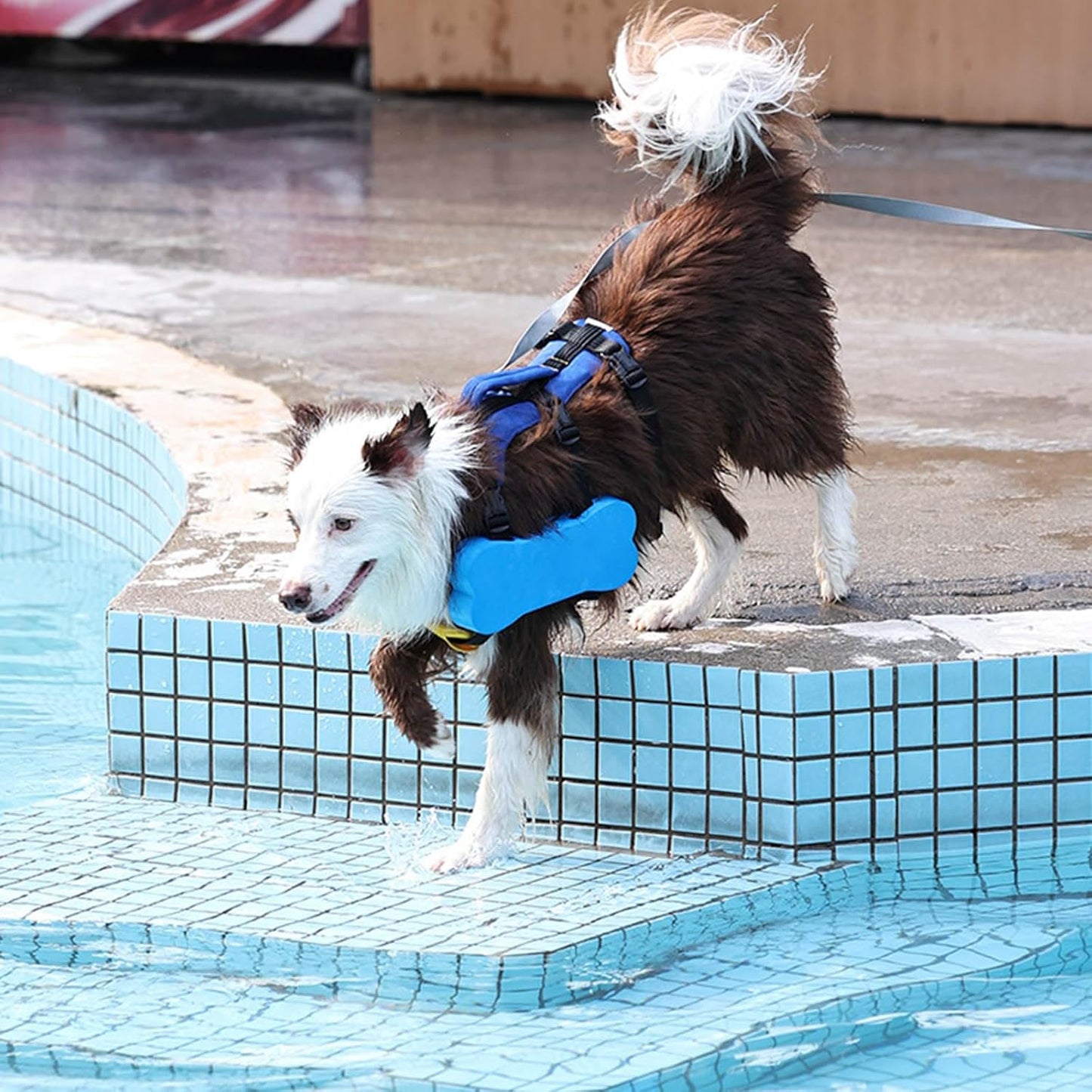 Dog Bone-Shaped Floatation Life Jacket – High-Buoyancy Swim Vest for Medium & Large Dogs | Adjustable Fit + Rescue Handle