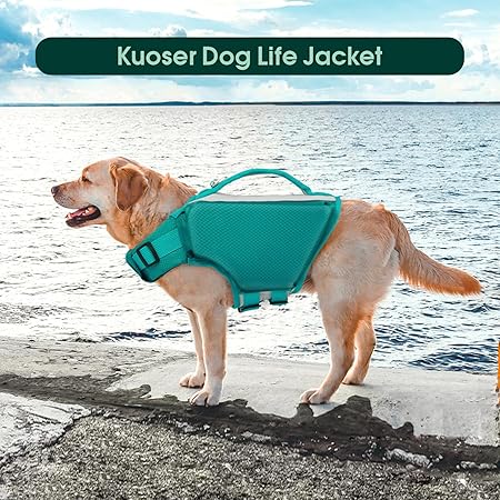 Lake Green Dog Life Jacket   | High-Buoyancy Safety Vest for Medium & Large Dogs | Rescue Handle + Reflective Trim + Quick Buckles