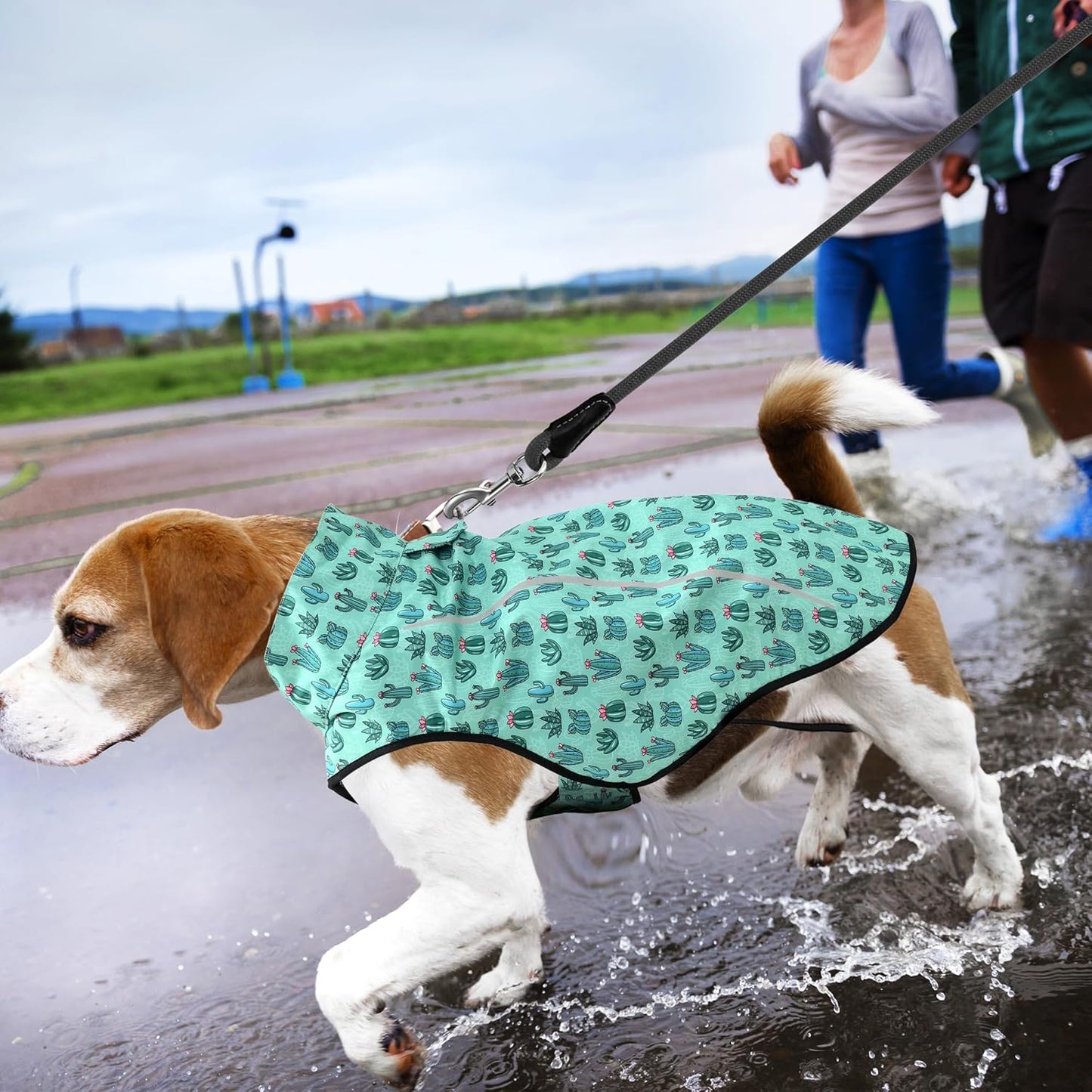 Green Cactus Print Dog Raincoat – Waterproof Jacket for Medium & Large Dogs | High Collar Design + Adjustable Fit + Secure Velcro Closure