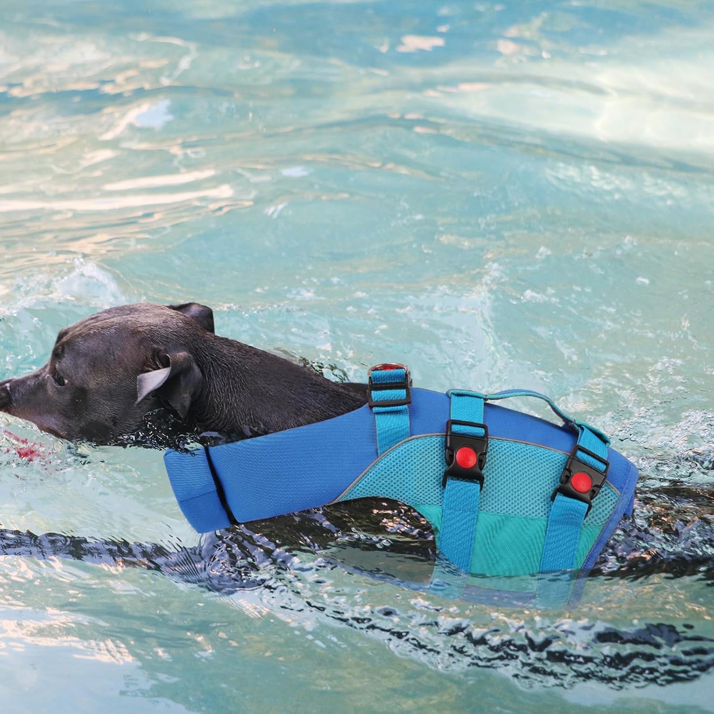 Large Dog Life Jacket – Blue-Green Buoyancy Vest with Dual Handles & Neck Float Support | Heavy-Duty Safety for Swimming & Rehabilitation