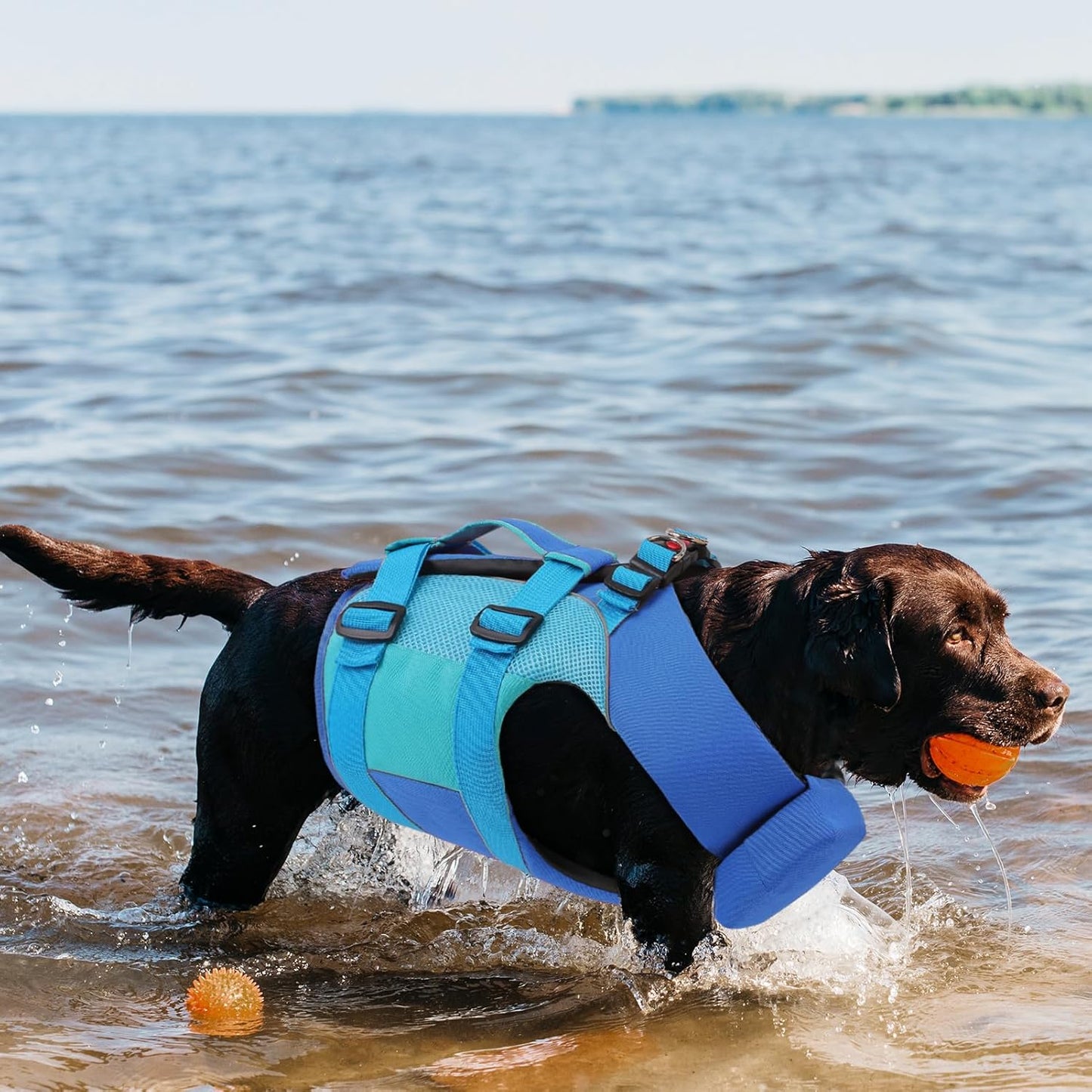 Large Dog Life Jacket – Blue-Green Buoyancy Vest with Dual Handles & Neck Float Support | Heavy-Duty Safety for Swimming & Rehabilitation