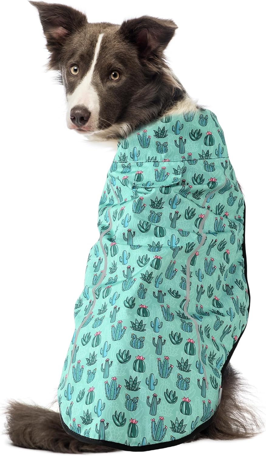 Green Cactus Print Dog Raincoat – Waterproof Jacket for Medium & Large Dogs | High Collar Design + Adjustable Fit + Secure Velcro Closure